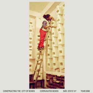 CONSTRUCTING THE CITY OF BOXES